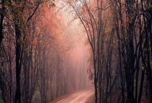 2022年4月28日历下区新增确诊病例情况_44690