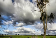 西湖区疫情:城市绿肺下的防控挑战与地理屏障