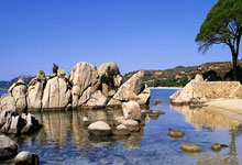 西湖区疫情：城市绿肺下的防控挑战与地理屏障